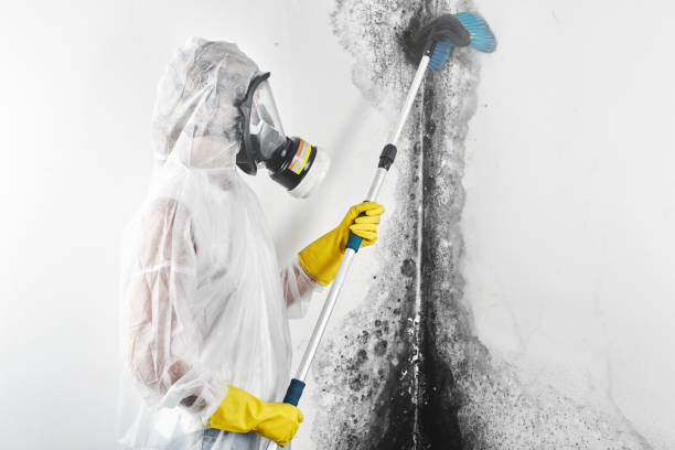Best Mold Remediation for Healthcare Facilities  in Terrebonne, OR